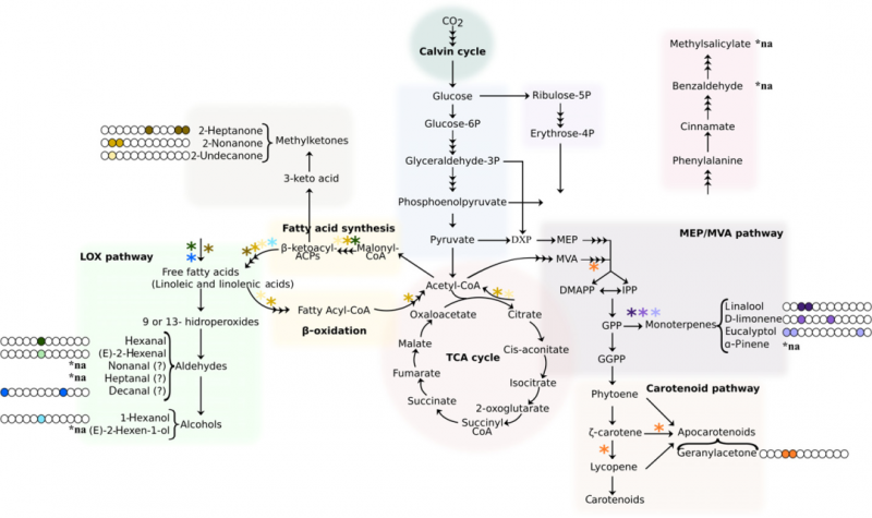 微信图片_20220927092201