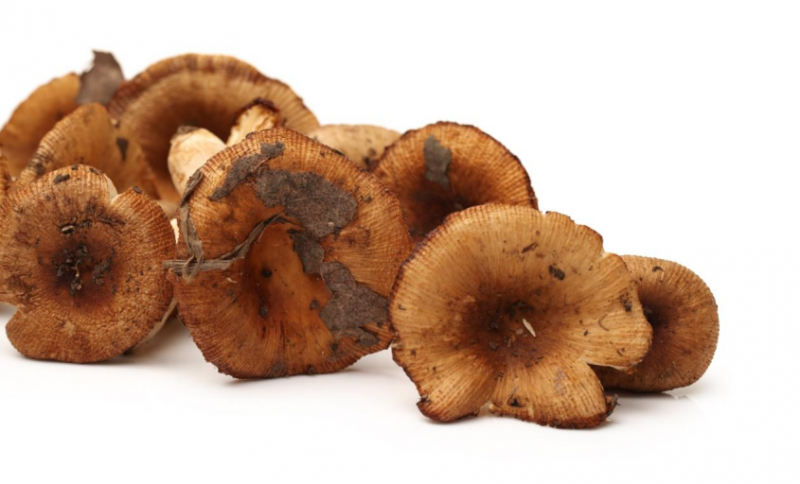 微信截图_20221207095406