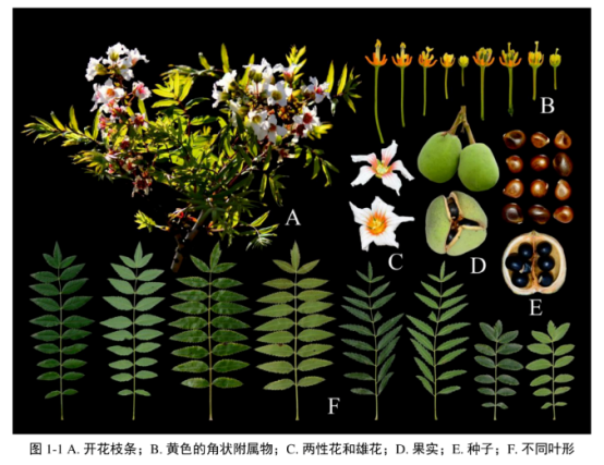 微信图片_20231012093906