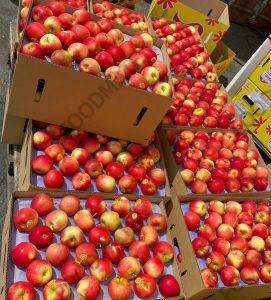 企业微信截图_16923200719339