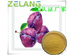 ��÷��ȡ����ӹ��������ϣ�Һ�����Ϲ�װ����÷��ȡ��ѹƬ