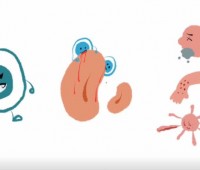 ���ն������붮չ��ù�� (456����)