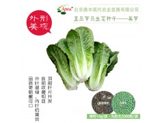 ֱ����������-����