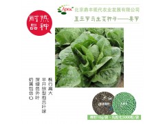 ֱ����������-����