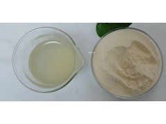 ɽҩ��ȡ�� Ũ��ˮ��ɽҩ��