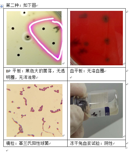 ΢��ͼƬ_20241021152206