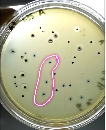 ΢��ͼƬ_20241021152219