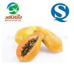 【厂家直销】【秀谷】 果蔬粉 —木瓜粉