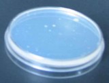 55mm大豆酪蛋白琼脂培养基接触碟 55mmTSA表面微生物取样接触碟