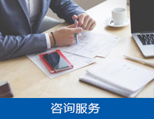 咨询服务