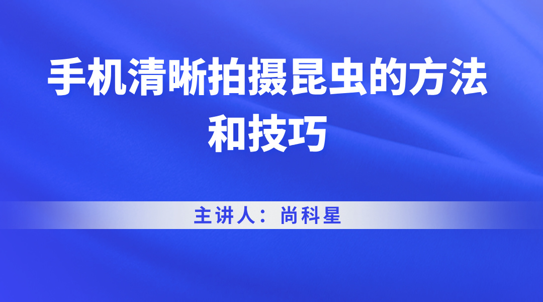 手机清晰拍摄昆虫的方法和技巧