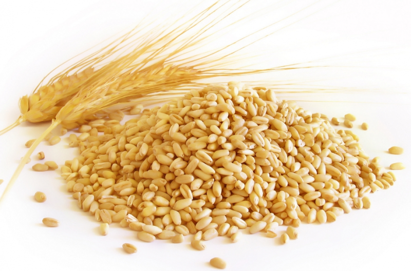 微信截图_20221125100434