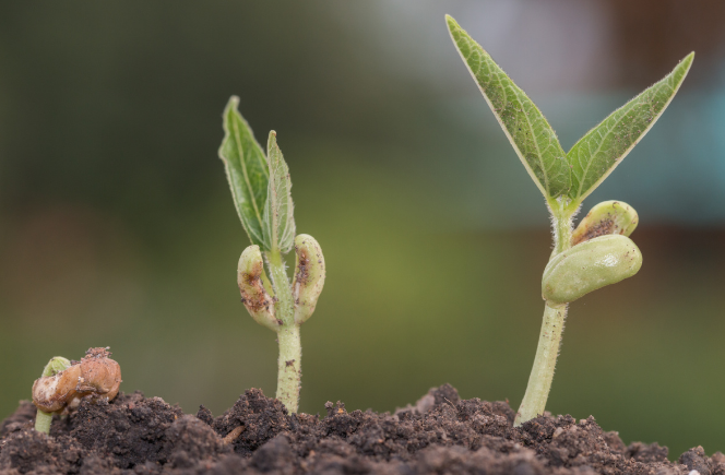 微信截图_20230106095645