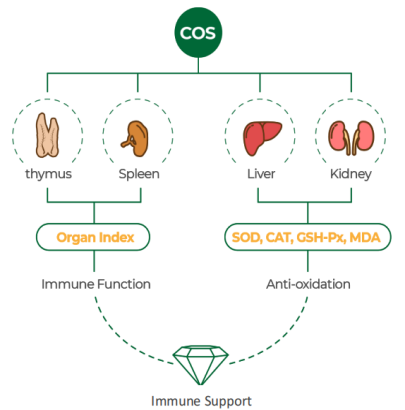 微信图片_20231116093958